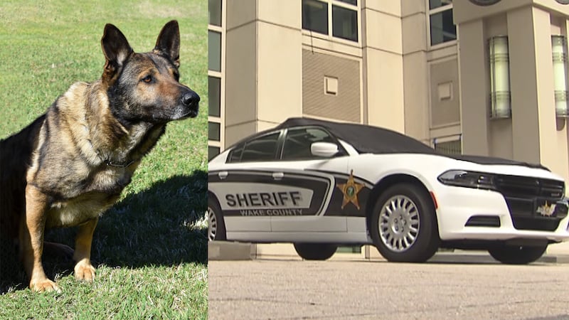 K9 Santos and his handler were assisting Knightdale police with the search near North...