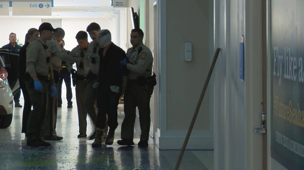 Dvorak being taken into custody in the airport