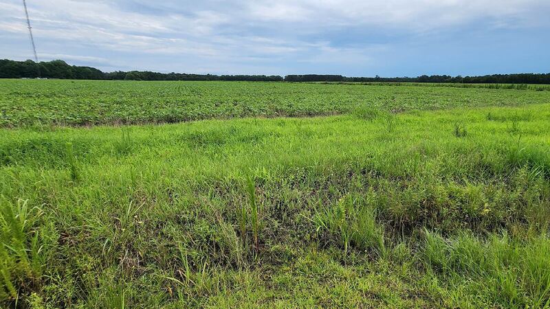 The RIA says the Ayden Rail Site is the largest certified industrial site in Pitt County.