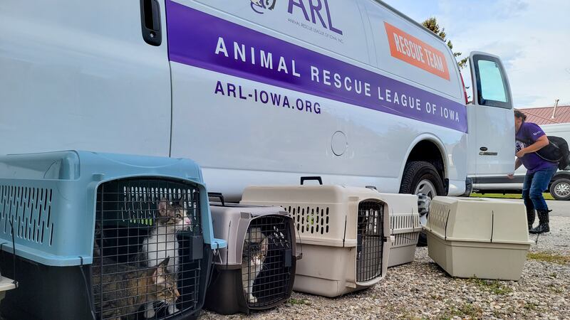 The Animal Rescue League of Iowa said its rescue team rescued 46 cats and kittens from filthy...