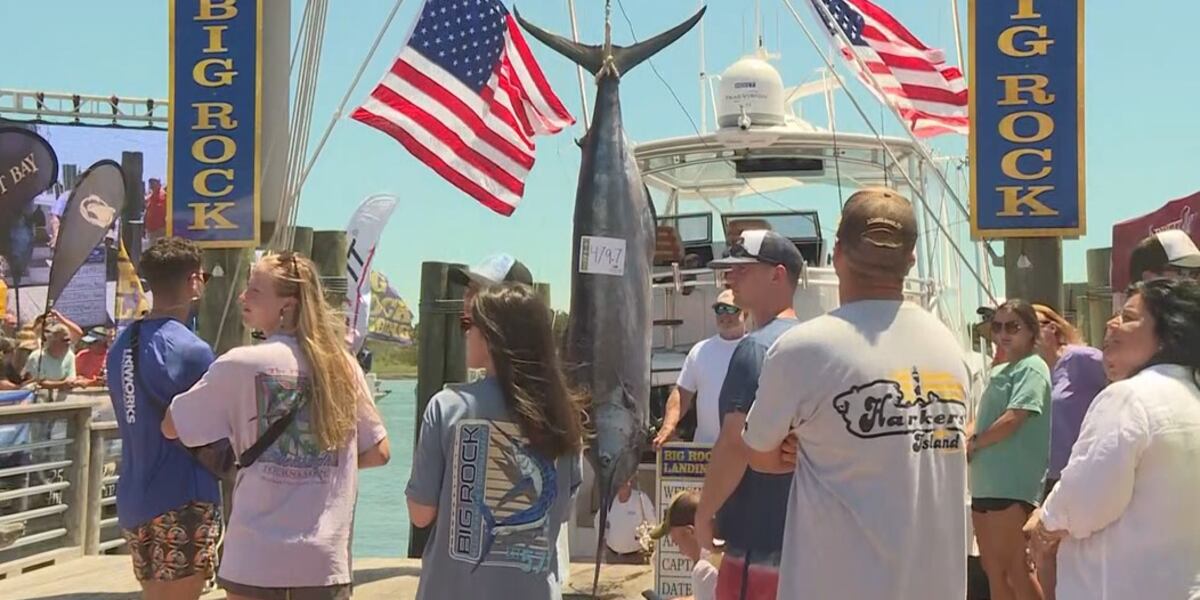 Navy commander honored as hero at Big Rock fishing tournament