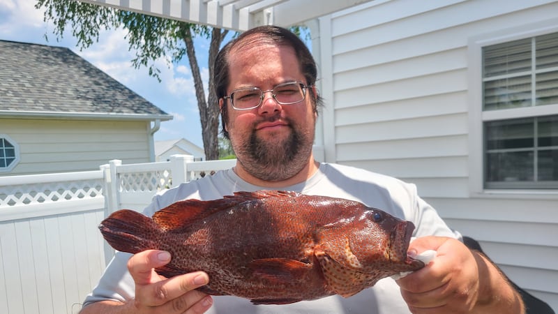Biggest Graysby Grouper in NC!