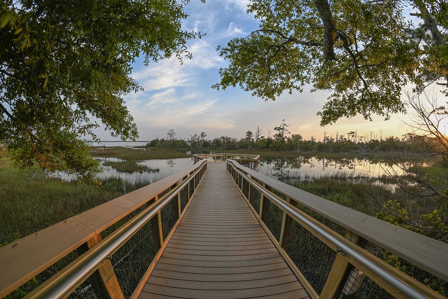 Marsh Boardwalk renovation complete at Pine Knoll Shores aquarium - Vimarsana News
