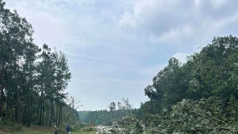 Governor Cooper has signed a disaster declaration for the City of Rocky Mount following July's...