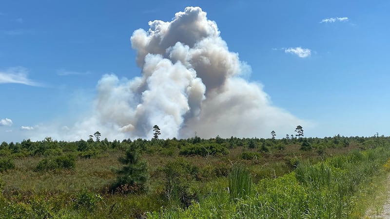 Pender County says the wildfire is some 150 acres in size.