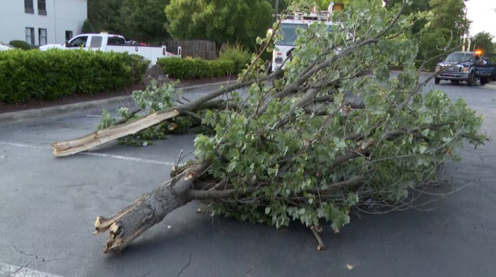 Car accident took down a tree and a power pole knocking out power to over 280 homes and...
