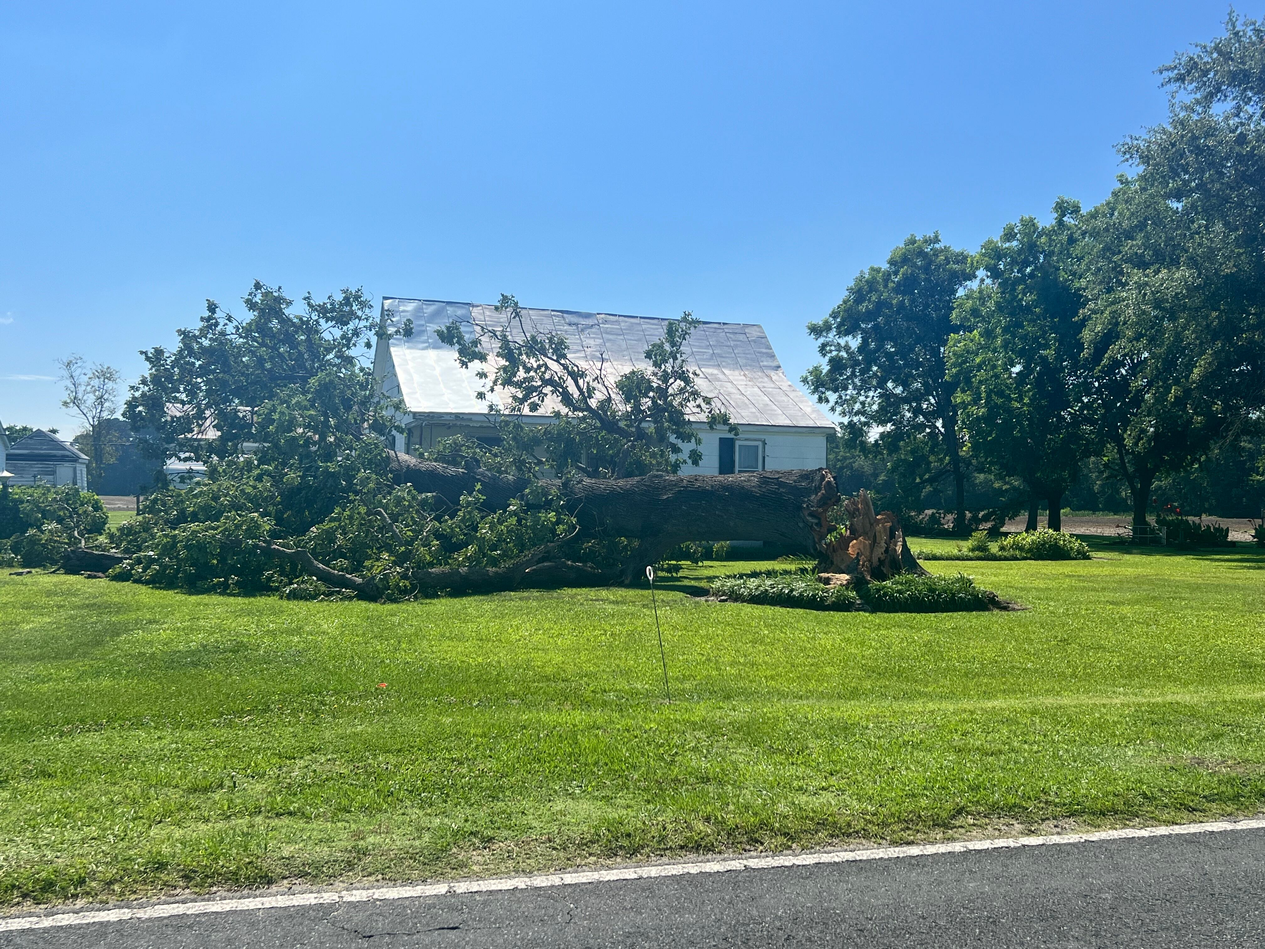 Damage left behind after a Thursday night storm - Vimarsana News
