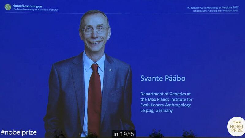 Techniques that Svante Paabo spearheaded allowed researchers to compare the genome of modern...